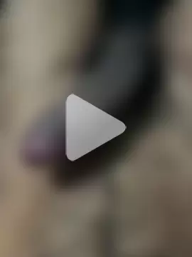 profetabr26 photo 7