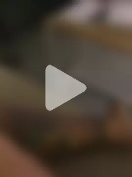 psilocibina22 photo 1