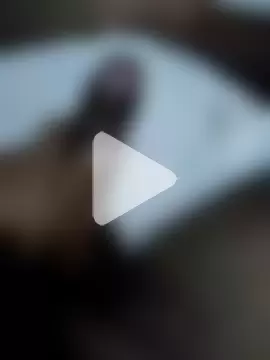 pusseylover1 photo 19