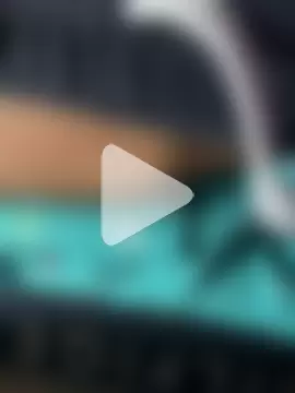 pussyeater4k photo 8