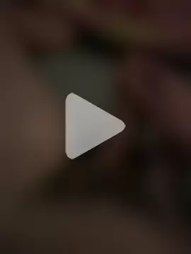 queuedusale998 photo 2