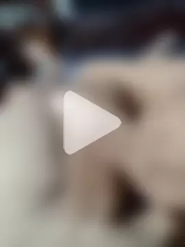 quierodarleche69 photo 2