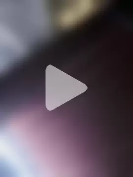 rajstrip12650 photo 28