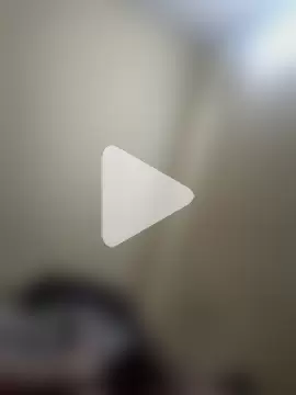 rajstrip12650 photo 23