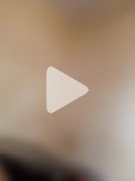 rajstrip12650 photo 6