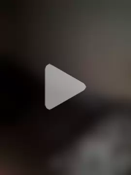 rajstrip12650 photo 5