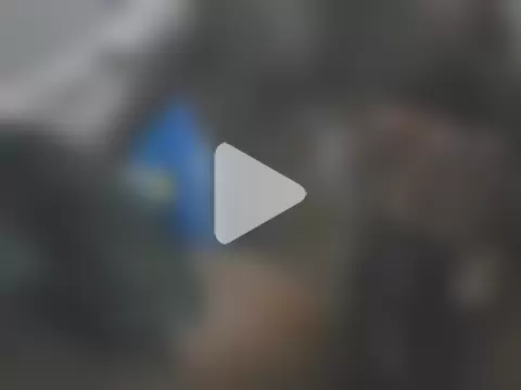 rajugarimadda photo 1