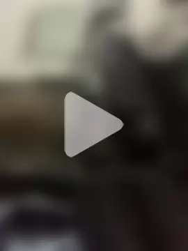 raphadoors19 photo 17