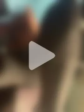 raphadoors19 photo 15