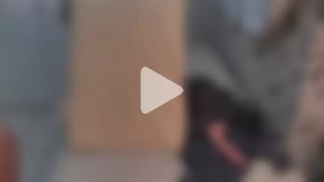 raposinharabuda photo 17