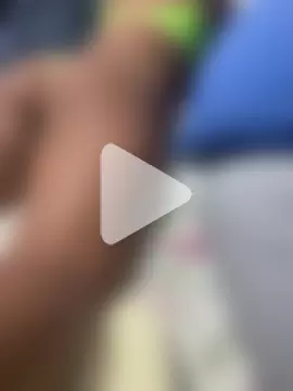 raposinharabuda photo 7