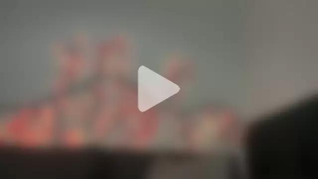 redxxxvixen photo 19