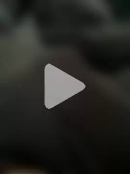 ringringdaaaaaaan photo 2