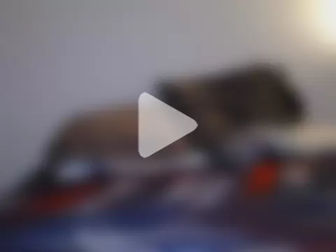 rodrigohairy photo 24