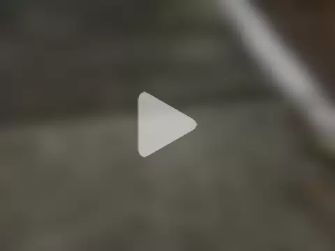 roludao_fun photo 10