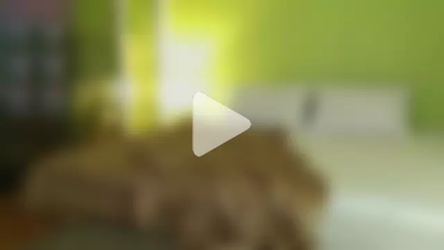 sadetuiningaa photo 7