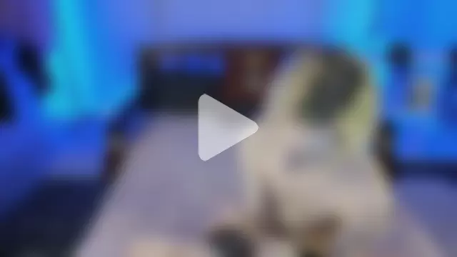 saintlauren1 photo 9