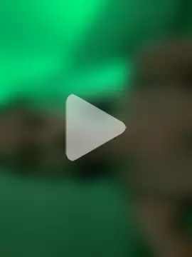 salome-brown photo 22