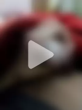 saneer69tew photo 19