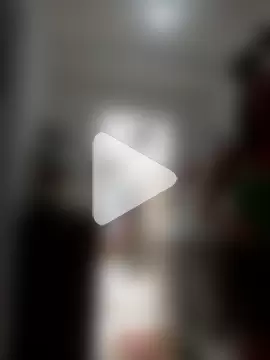 sapequinhaahmister photo 10