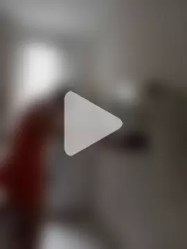 sapequinhaahmister photo 5