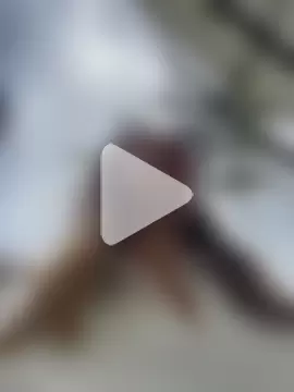 sara_calderon photo 29