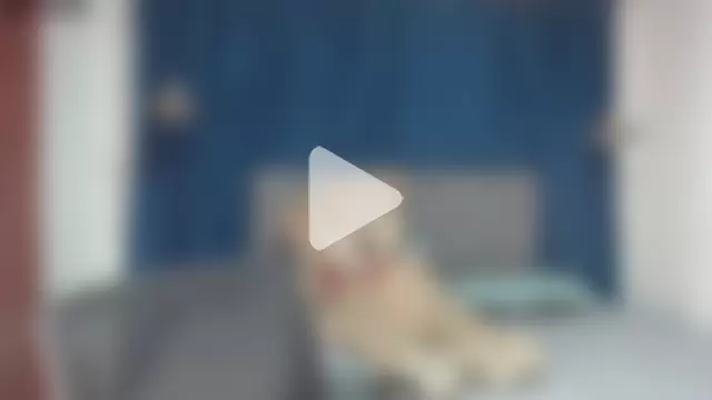 sarah_lovesu photo 18