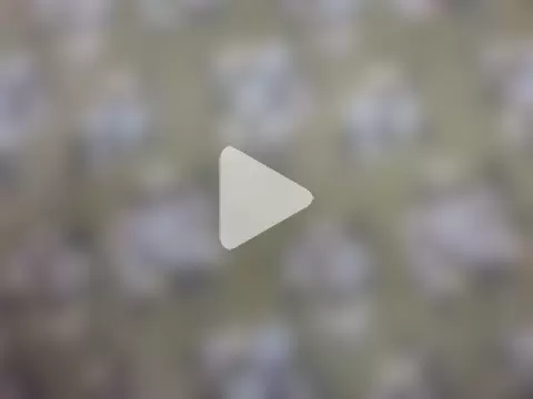 sarathchandru photo 16