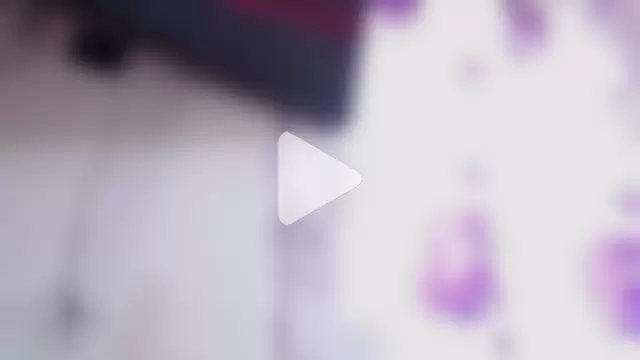 scarlet-foox photo 4