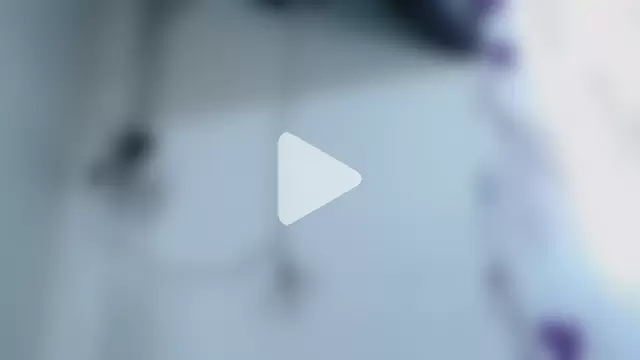 scarlet-foox photo 1