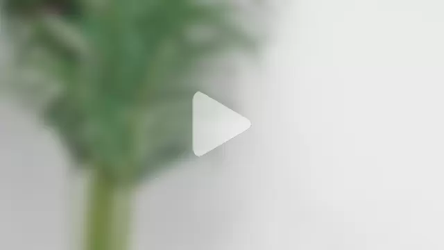 sebastamayo_ photo 14