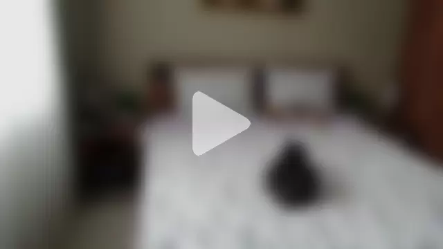 sensualEmilia photo 4