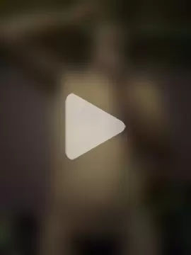 serranoandre photo 4