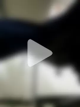 sexinhamburg photo 1