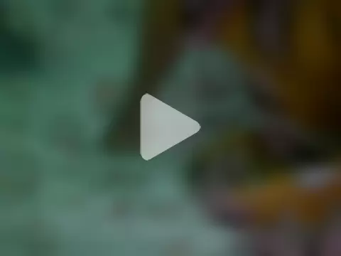 sexxylady1 photo 8