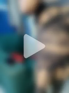 sexy-couple77 photo 10