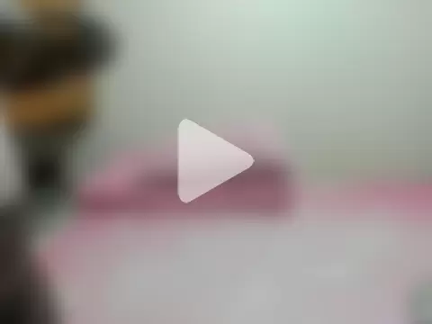 sexyboobies42 photo 11