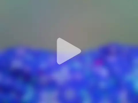 sexymolyy_ photo 12