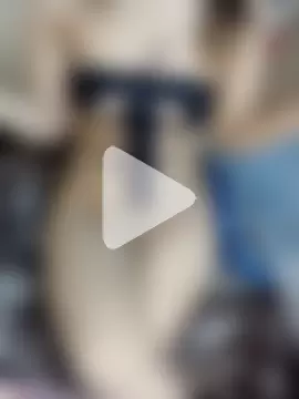 shahinaz-123 photo 24