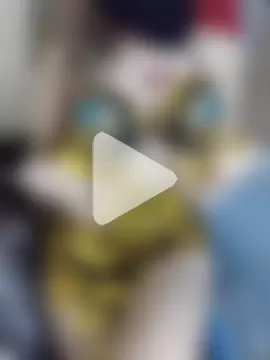 shahinaz-123 photo 16