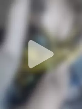 shahinaz-123 photo 29