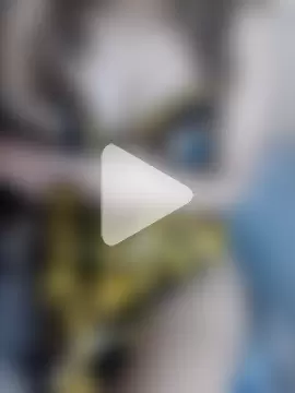 shahinaz-123 photo 24