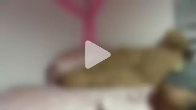 shandiloveslemonss photo 9