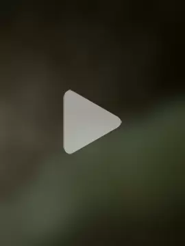 shavedandcurious photo 1