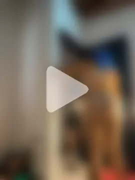 shelby_kutter photo 16