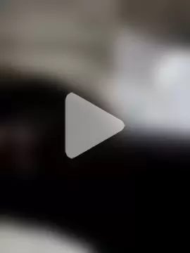 shezai1075461868 photo 4