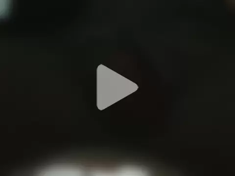 shezai1075461868 photo 2