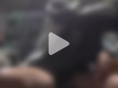 shikokichi55 photo 6