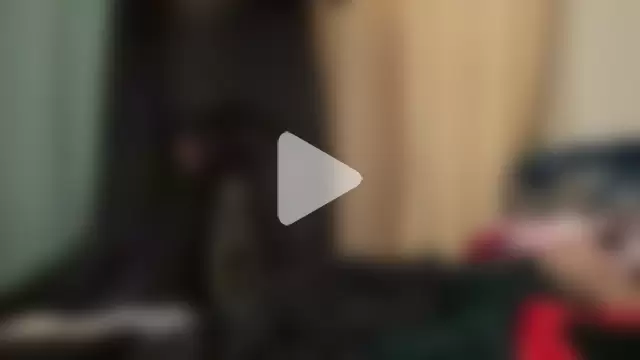 shineofcrazy photo 17