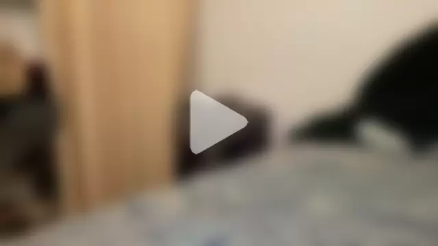 shineofcrazy photo 15